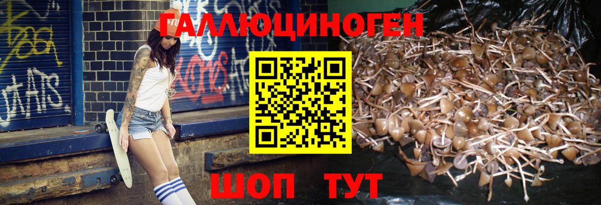 Псилоцибиновые грибы Psilocybine cubensis  где продают   Барабинск  Вход с VPN  Псилоцибиновые грибы Psilocybine cubensis 